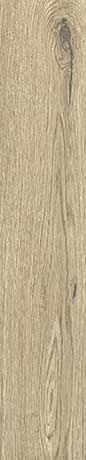 PLANCHES DE REX MIEL 20X120 RET