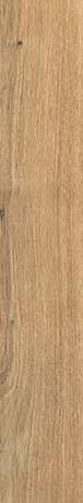 PLANCHES DE REX NOISETTE STR 20X120 RET