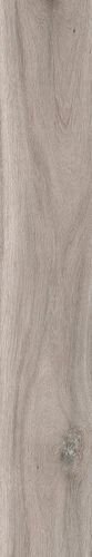 BARKWOOD ASH 30180