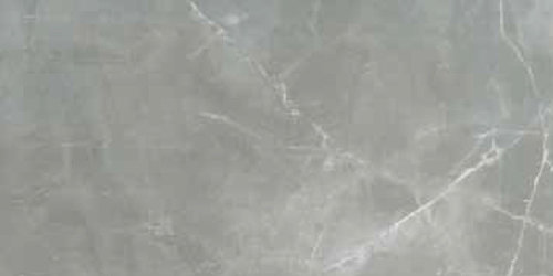 TIMELESS AMANI GREY LUC 60X120 RET (746377) Керамогранит