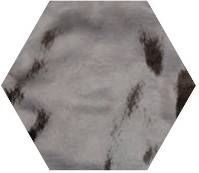 ESAG.FUORIMUSCHIO 24X27,7