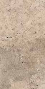 PIETRA DI RAPOLANO 20X40