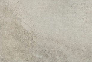 GRIGIO DI SCOTTA RA 40X60,8