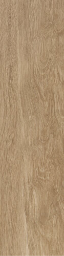 BADIA FRASSINO RET  30X120
