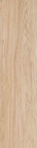 BIOWOOD OLIVO RET  22,5X90