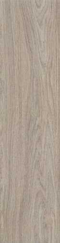 BIOWOOD OLMO RET  22,5X90