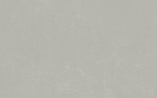 PLANET SILVER SF/45X90/C/R