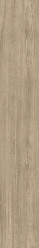 VERM.PRO ELM RET SP5  20x120