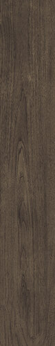 VERM.PRO OAK RET SP5  20x120