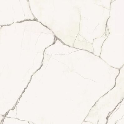 STA VP6 60 LP 