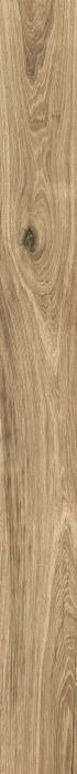ECH SCOTTISH 16X160 RETT