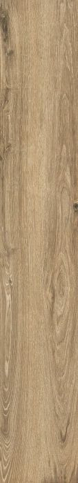 ECH SCOTTISH 26X160 RETT