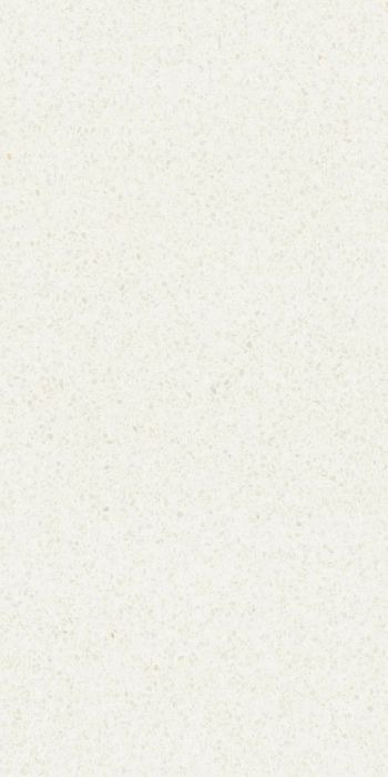IMV BIANCO 60X120 RETT