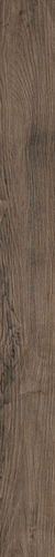 ESP 16X160 TOBACCO RETT