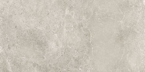 SVN 60X120 GRIGIO CHIARO RETT
