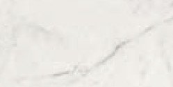 STATUARIO LIV.SQ.SPAZZ. 30X60