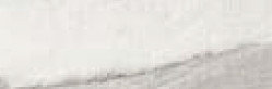 APUANO RULLATO SQ. 20X60