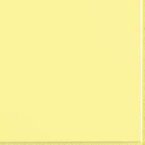 FLEXI 2 YELLOW BRI