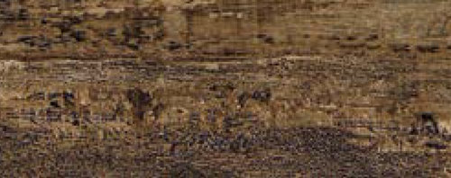 CORTEX BROWN 3060 NR