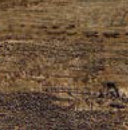 CORTEX BROWN 4545 NR