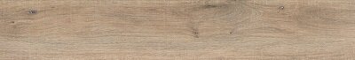 P.WHISTLER TAUPE/24X151/R