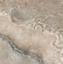 WILD LAND 4545