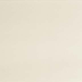 BASIC AVORIO/B2G