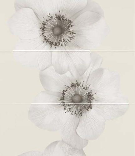 FLOWERS ECRU'