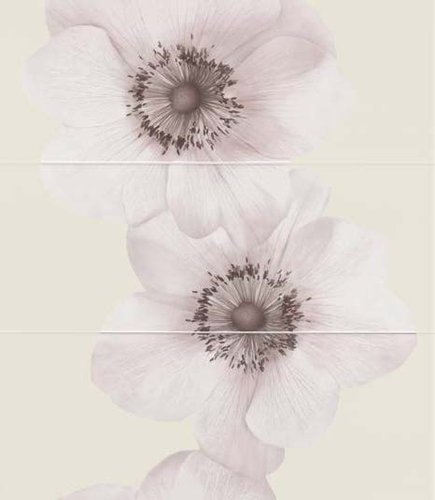FLOWERS MALVA