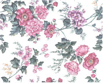 FLOREALE ROSA