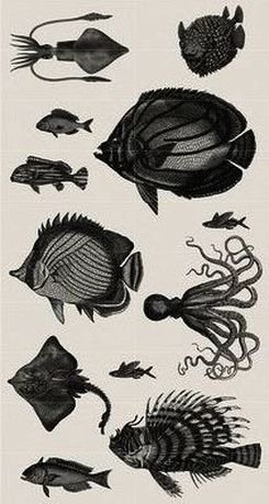 AQUARIUM