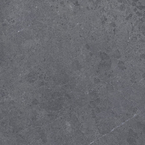 ALPINE ANTH SP/100X100/R