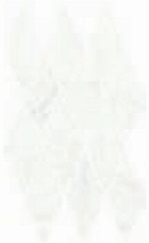 CHARME DELUXE Bianco Michelangelo Mosaico Diamond 28x48 (620110000111)