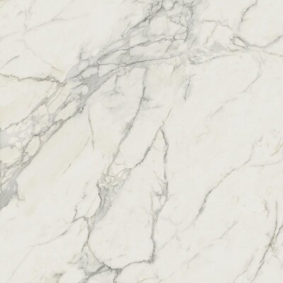 Marvel Calacatta Extra 120x120