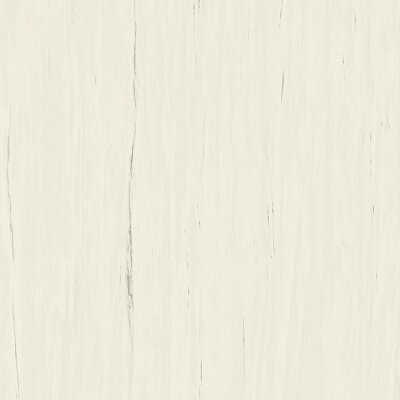 Marvel Bianco Dolomite 120x120