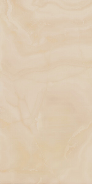 Charme Evo Onyx Lux Rett 60x120 (610015000404)
