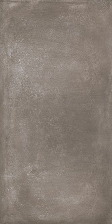 Forest (60107) 50x100 Керамогранит