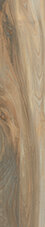 Honey (60953) 20x100 Керамогранит