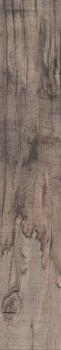DOLPHIN OAK RETT.20MM 30X120SP