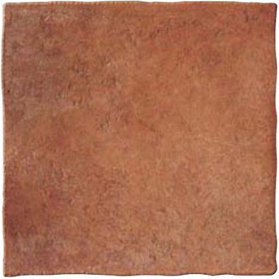 PETRAIA COTTO 33,3X33,3