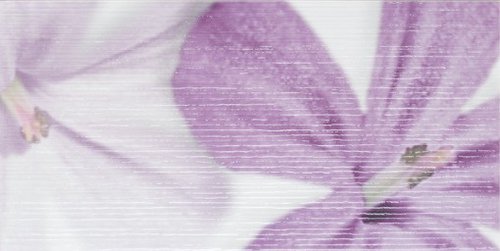 BERMUDAS LILA DECORADO