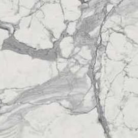 Charme Evo Statuario Nat Rett 60x60 (610010000778)