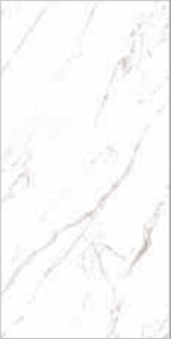 STATUARIO GRIGIO LUCIDO A