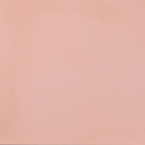 R-EVOLUTION LIGHT PINK R10 10M