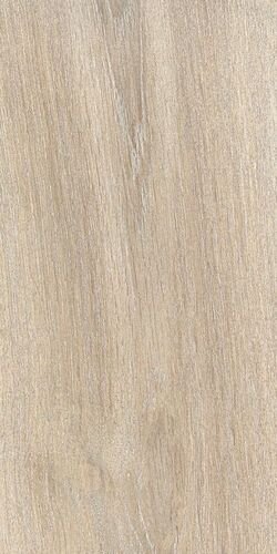 60X120 EVOQUE KORINA NAT/RET