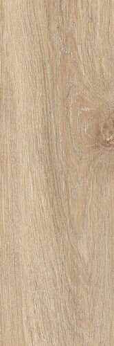 40X120 EVOQUE ROVERE R11 NAT/RET 20MM