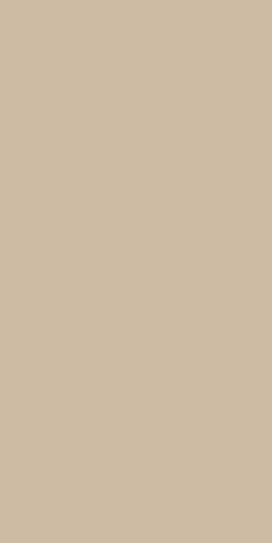 120X280 FULL COLOURS DESERT LUC/RET
