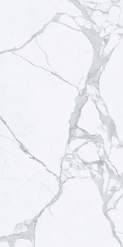 120X280 STATUARIO LUC/RET