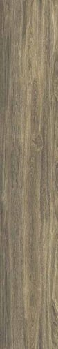 PLANKS MUSCHIO