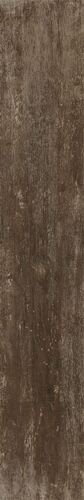 20X120 RIVAMANCINA TERRA